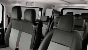 Citroen-Peugeot-headrests