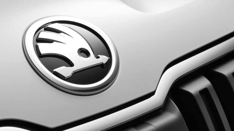 Skoda-Karoq-common-problems-1
