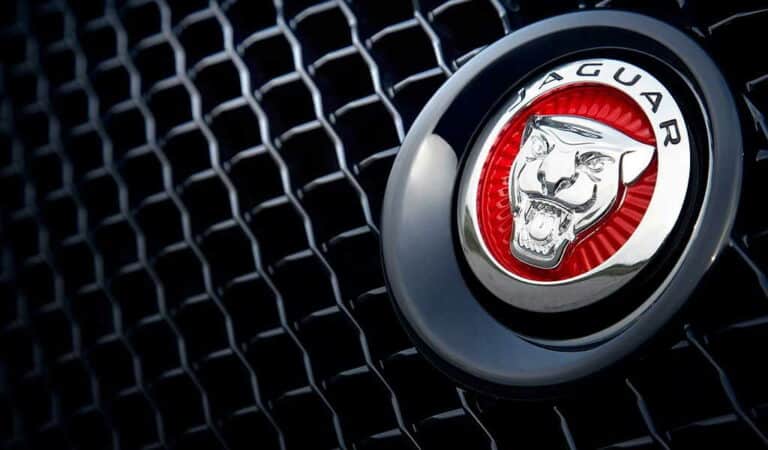 jaguar-recall