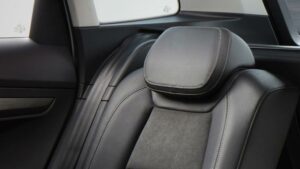 skoda-octavia-karoq-headrest-recall