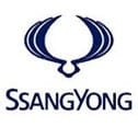 Ssangyong-vin-check free