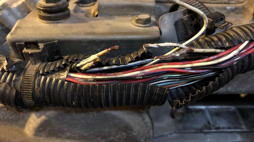 wiring-harness-mercedes-honda